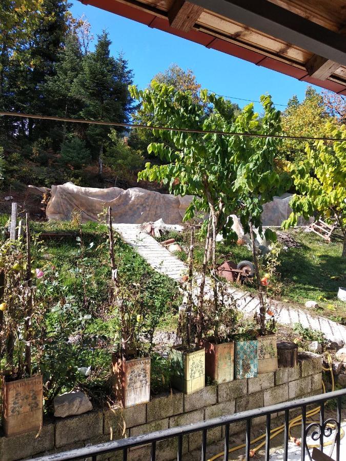 Elatos Rooms Mikro Chorio  ภายนอก รูปภาพ